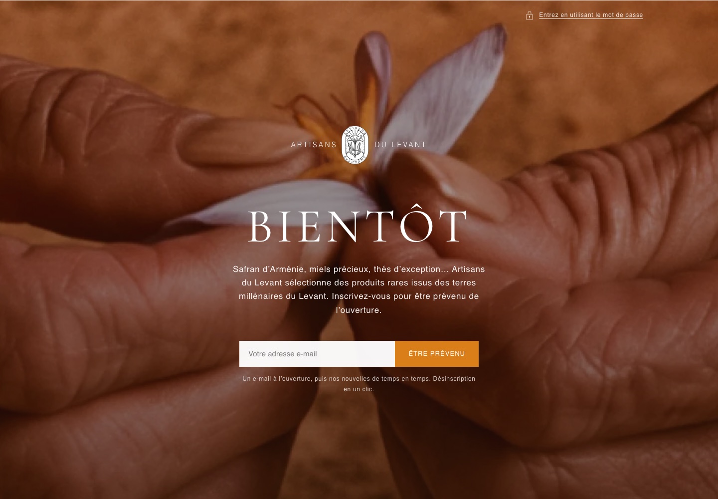 Artisans du Levant — page d’attente, fleur de safran
