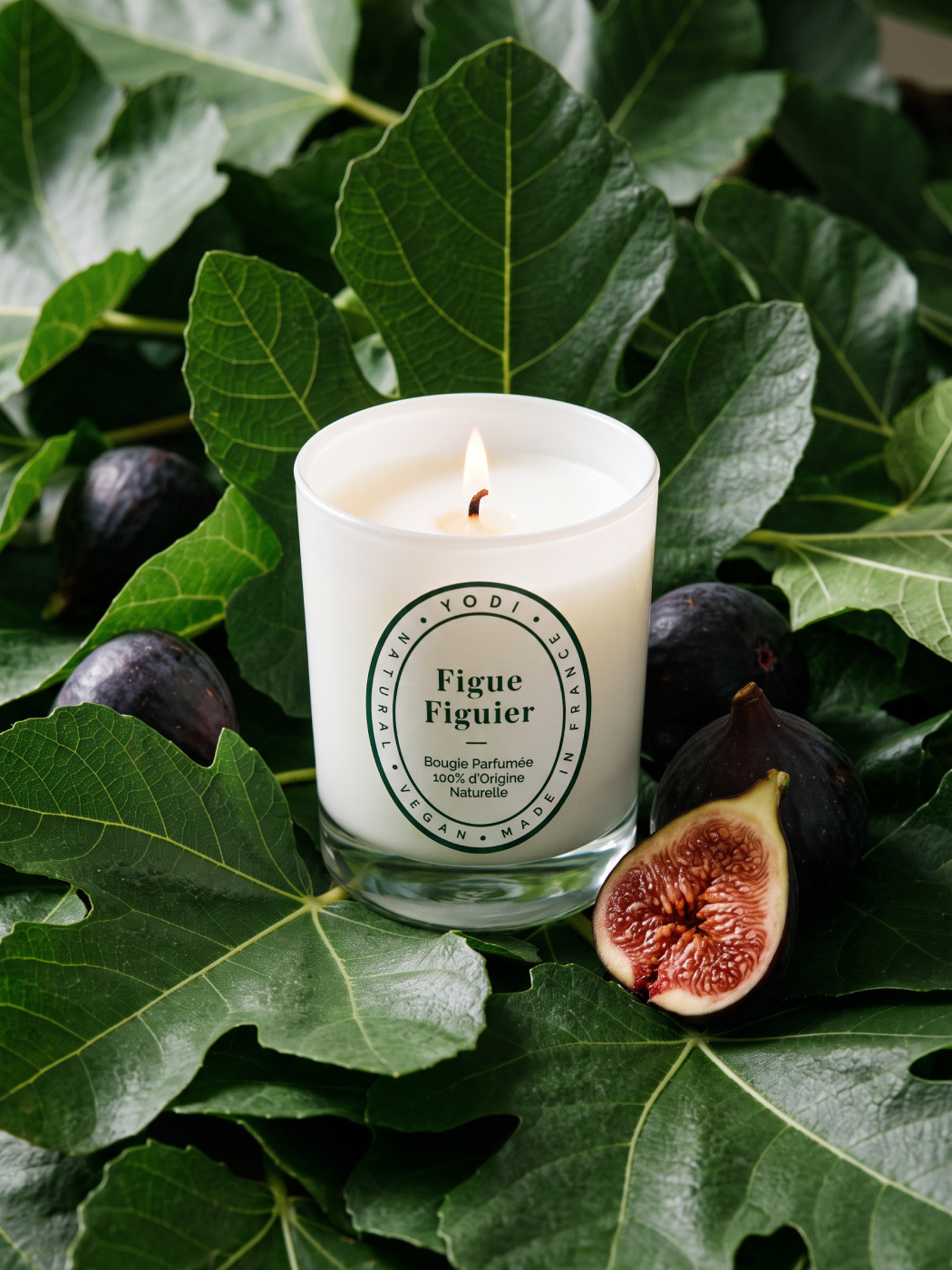 Yodi — Bougie Figue Figuier