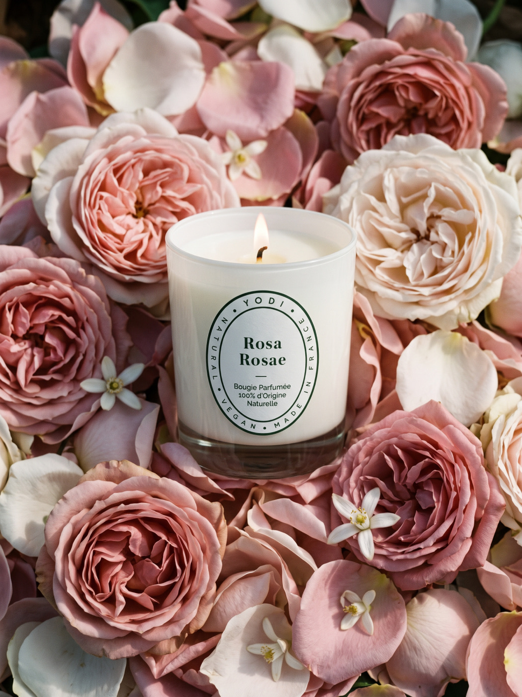 Yodi — Bougie Rosa Rosae