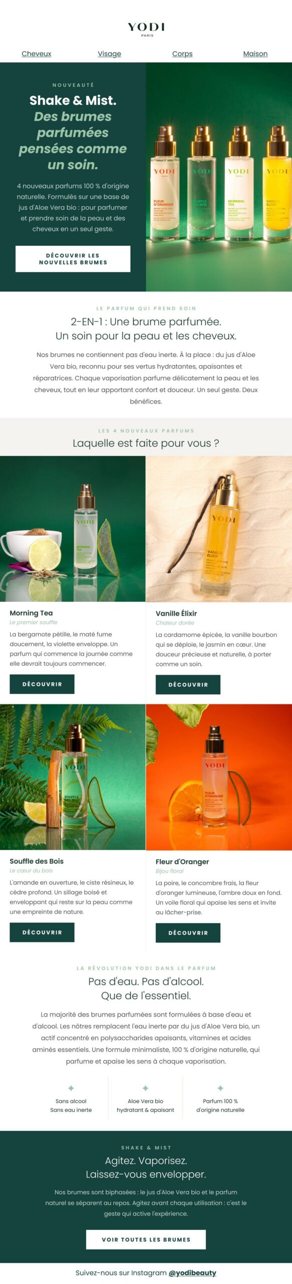 Newsletter Yodi « Shake & Mist » — e-mail complet
