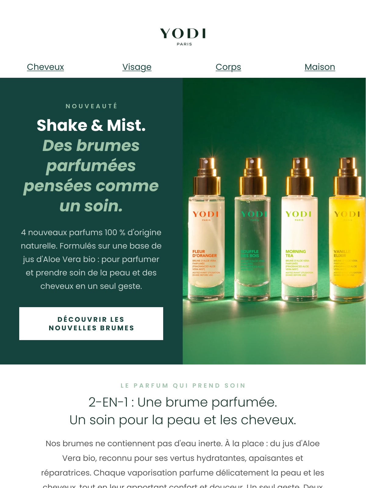 Newsletter Yodi « Shake & Mist » — haut de l’e-mail